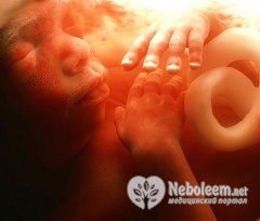 Размер плода на 22 неделе беременности - 27 см