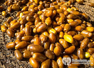 Калорийность фиников в 100 г – 275 ккал