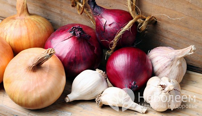 Лук и чеснок
