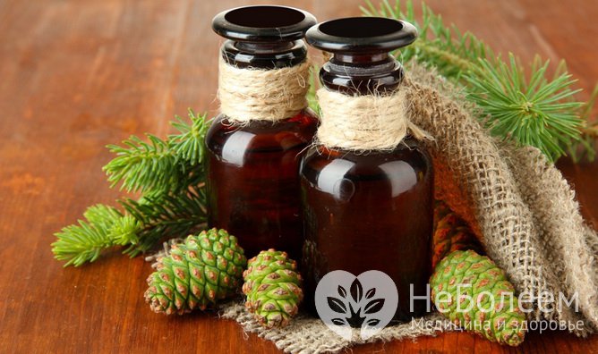 Настойка и отвар зеленых шишек