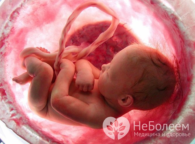 Асфиксия может развиваться на разных стадиях беременности и появления на свет малыша