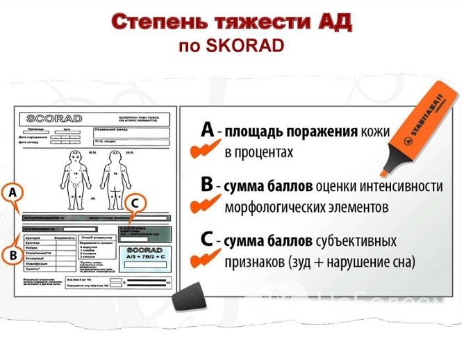 Оценка степени тяжести атопического дерматите по системе SCORAD