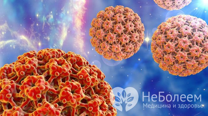 Заражение вирусом папилломы человека – основная причина появления плоских бородавок на теле