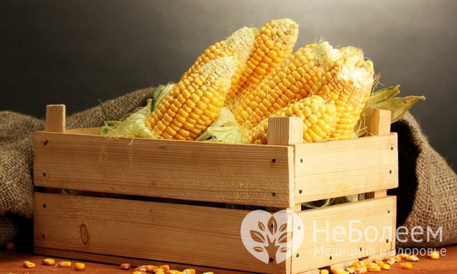 Кукуруза