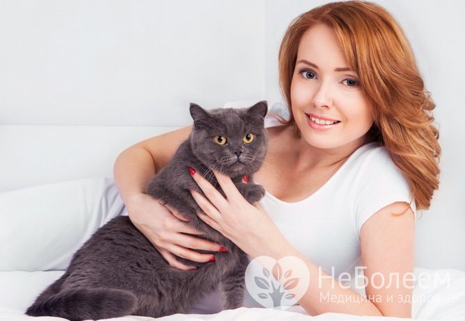 Неожиданные признаки высокого интеллекта: любовь к кошкам