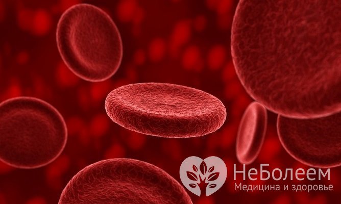 Эритроциты доставляют кислород в ткани