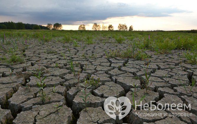 Правила поведения при засухе