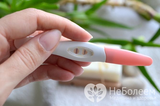 При наступлении беременности количество гормона в крови возрастает